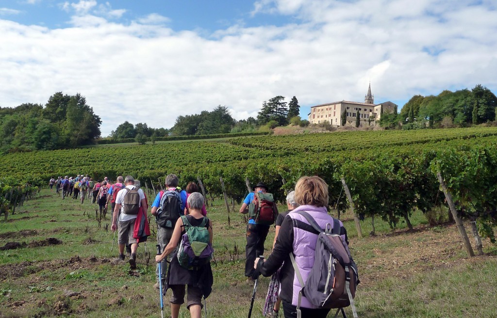 mille-pieds podensac