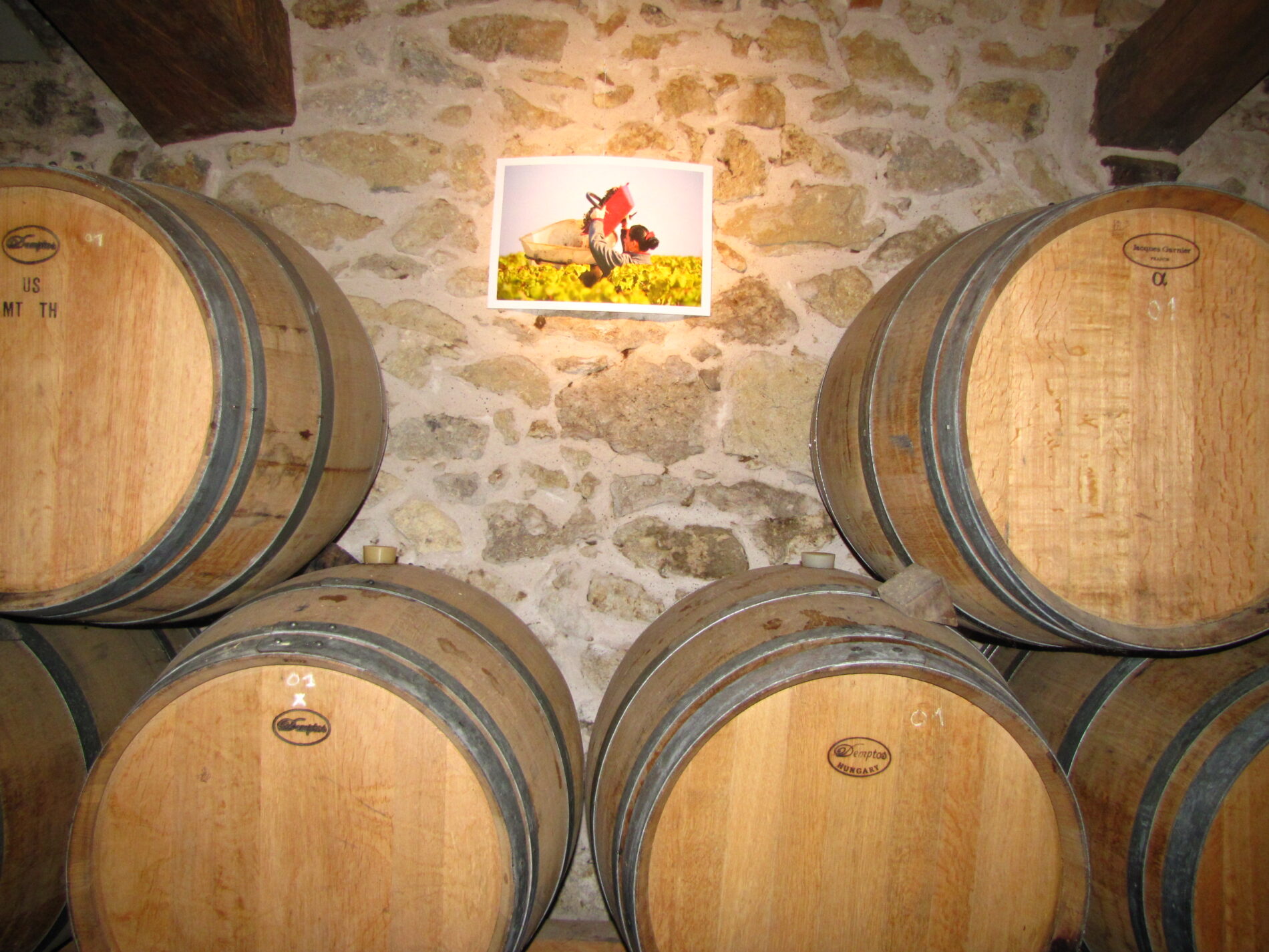 Destination Garonne, Château Haut Bergeron, Preignac