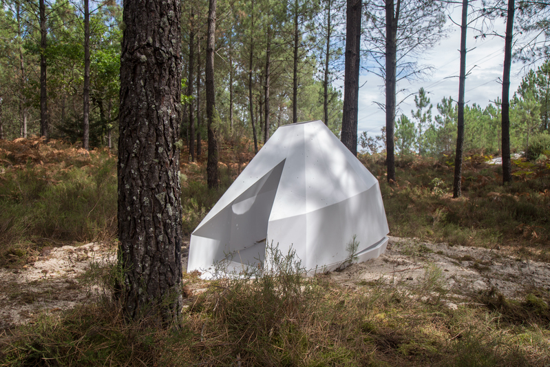 Nuit des forêts à Cazalis