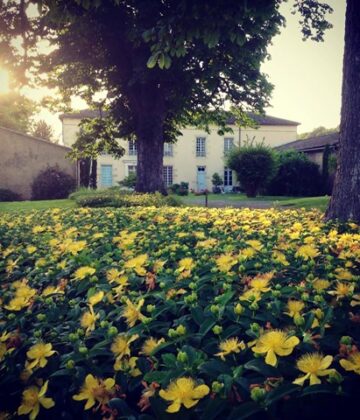 Destination Garonne, Château Peller Laroque, Laroque