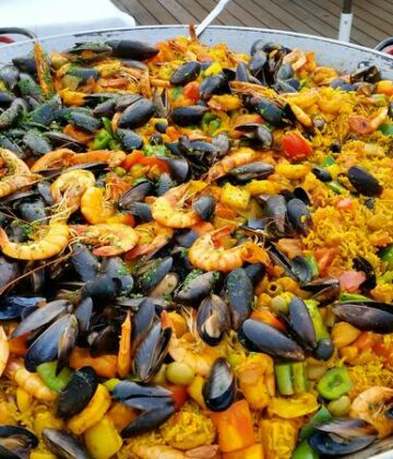 pexels-photo-33041124(1)