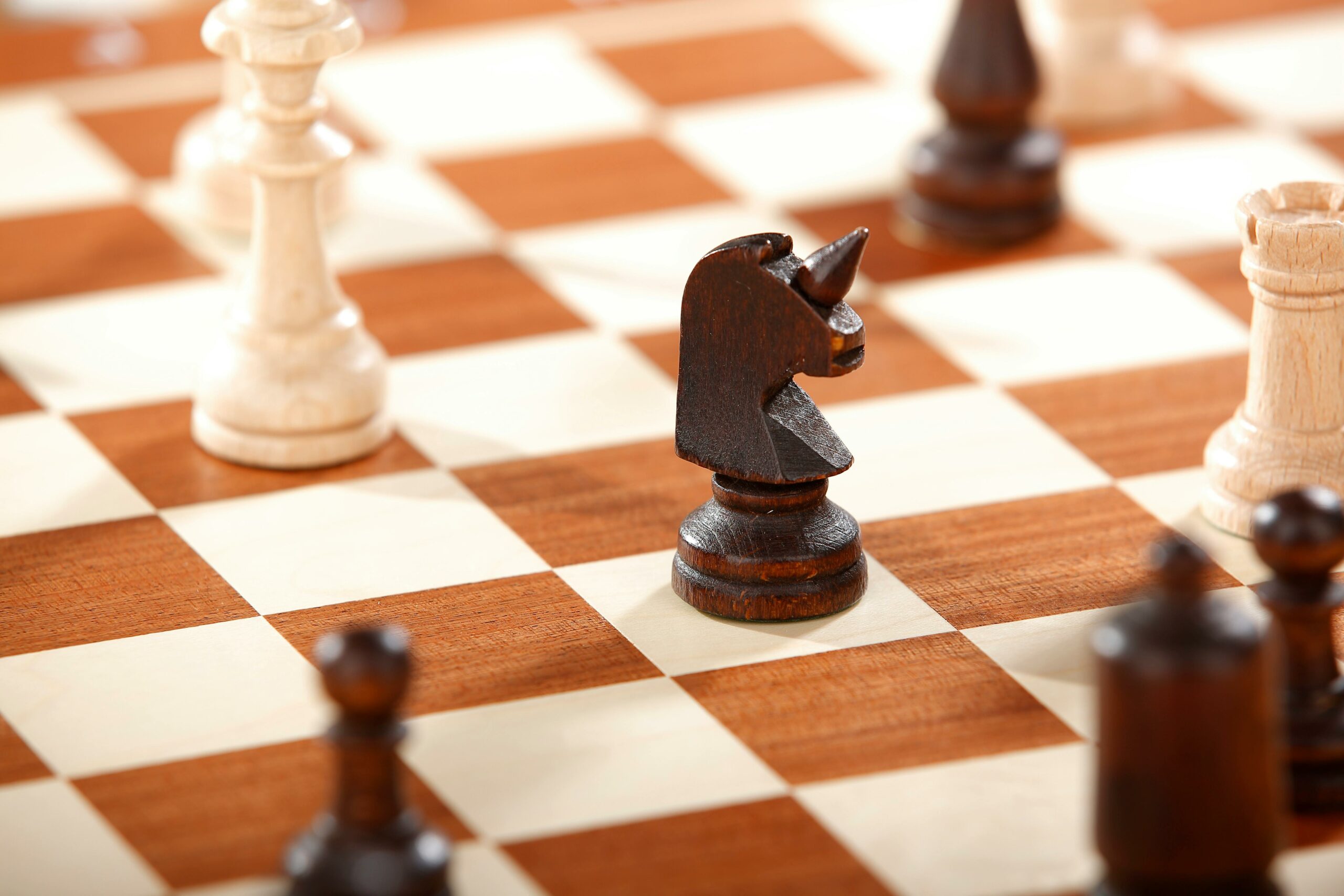 pexels-schach100-793229-1660753