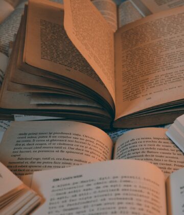 photo-1599488059863-ac95a7f49193