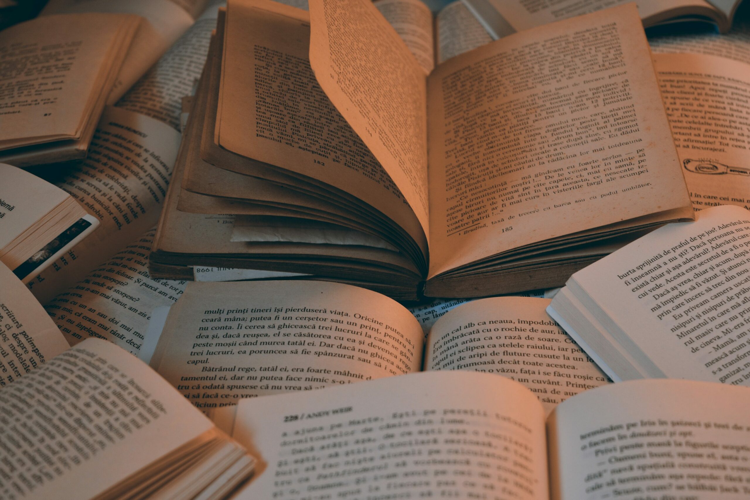 photo-1599488059863-ac95a7f49193