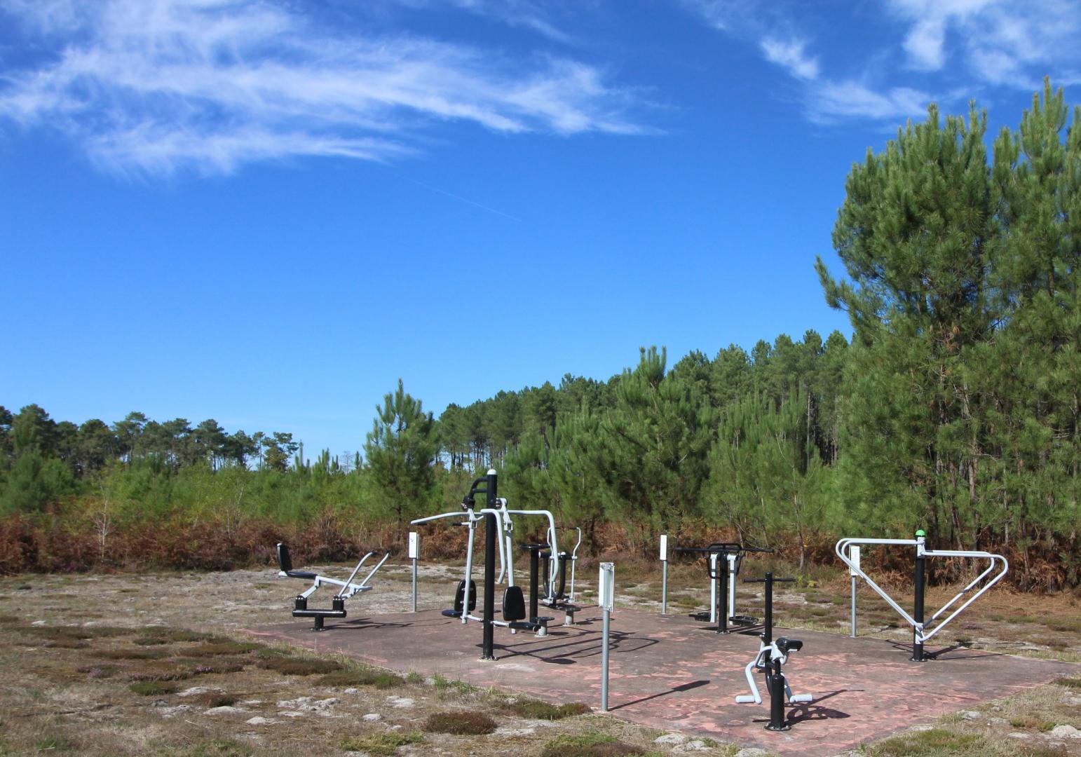 Gîte Forestier n°2