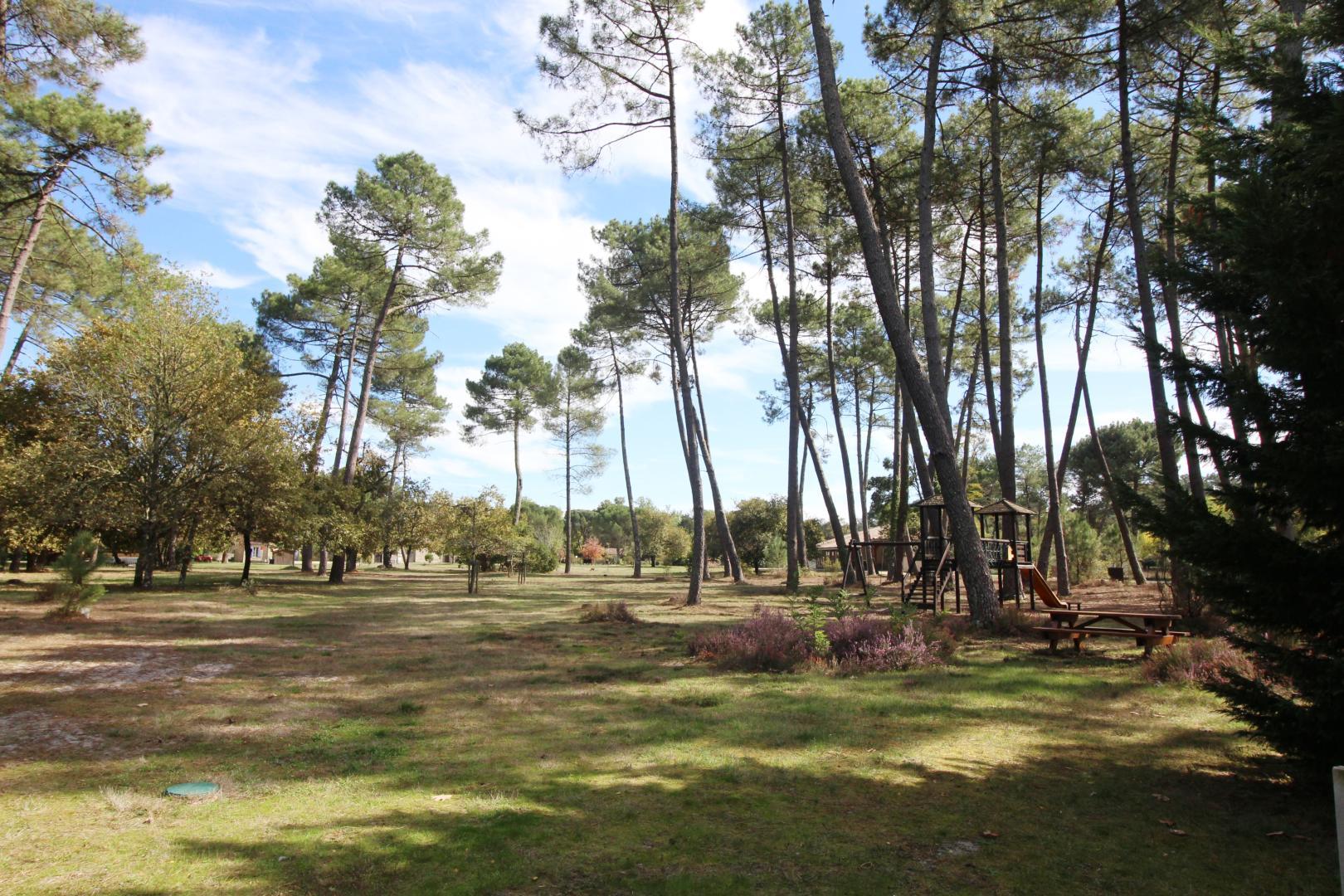 Gîte Forestier n°2