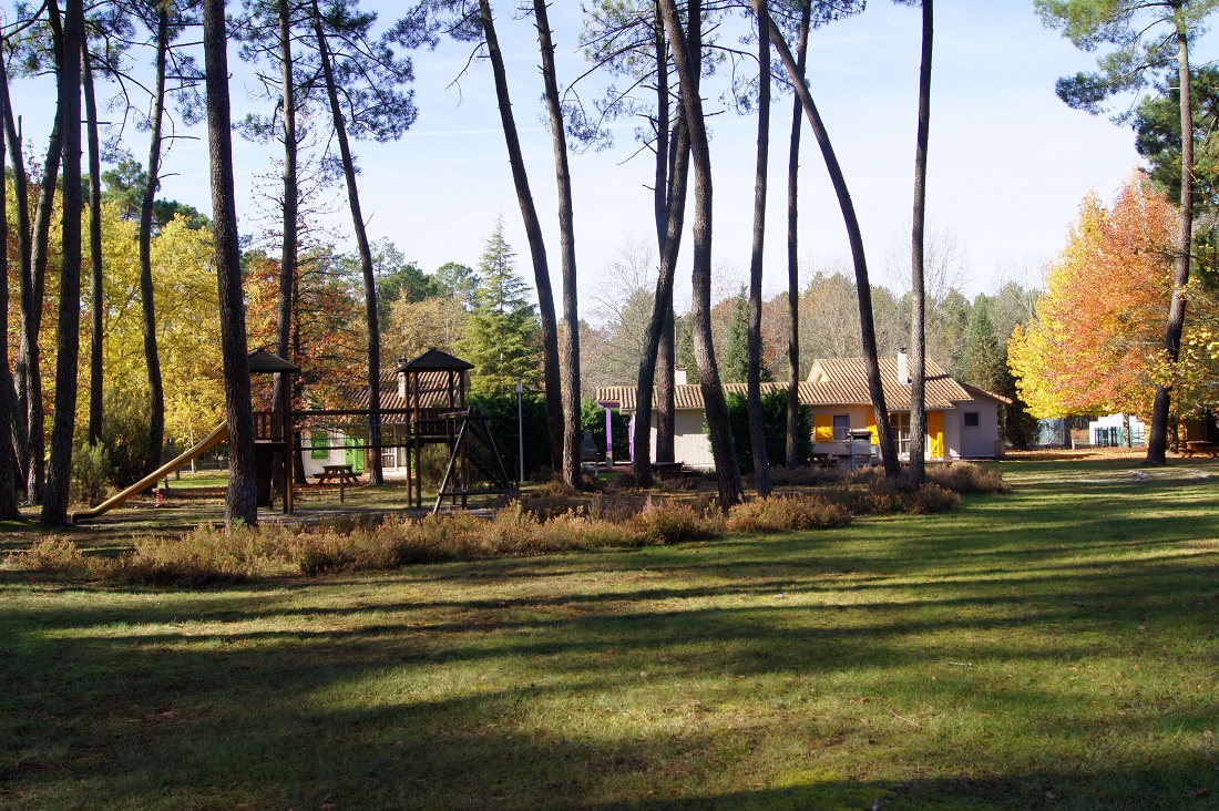 Gîte Forestier n°2