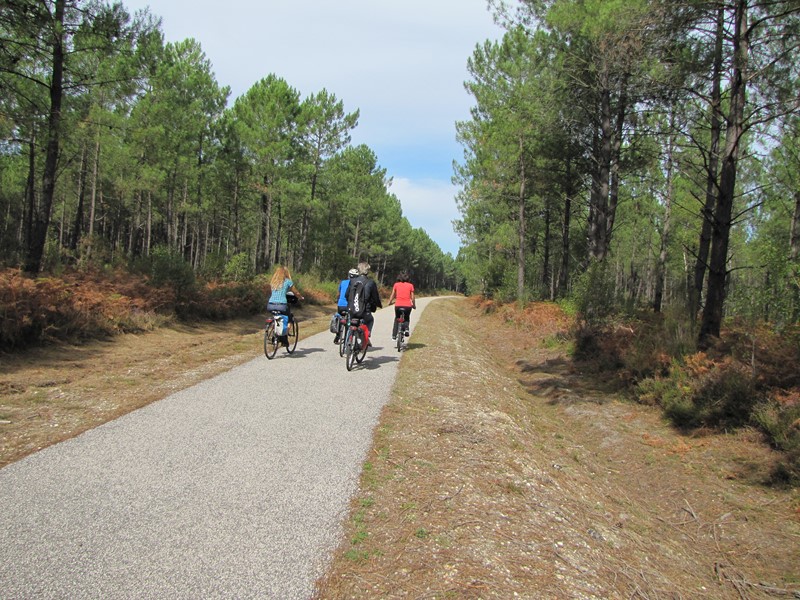piste bazas uzeste 5