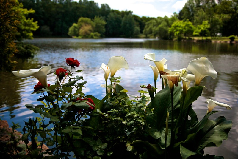 Domaine du Roi Kysmar - VILLANDRAUT - Sud-Gironde