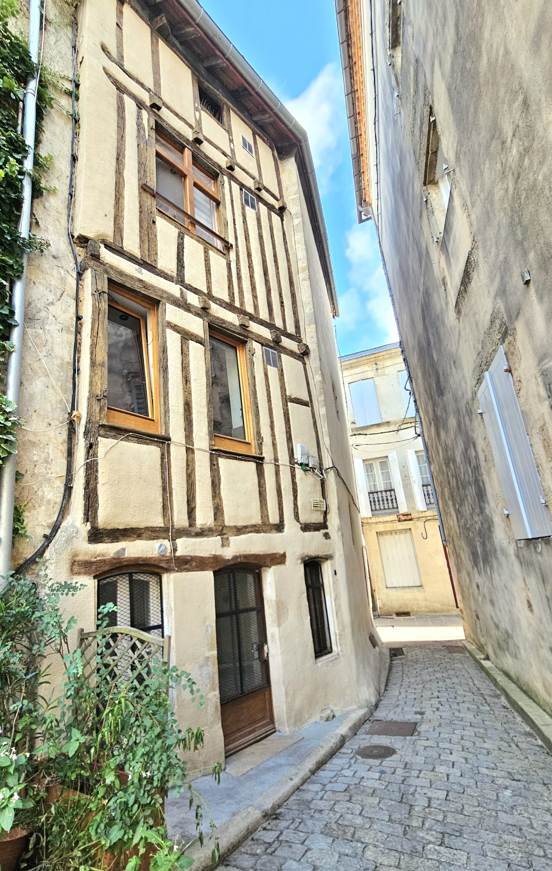 rue
