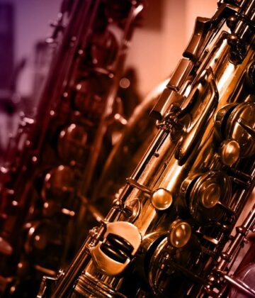 Les saxopitheques en concert