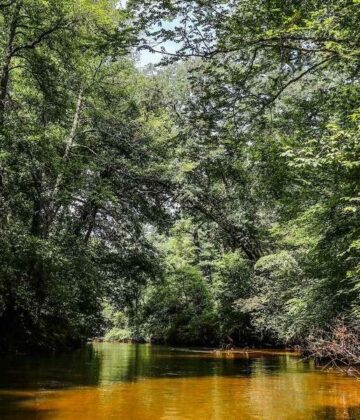 so-5b6c3d2c66a4bd9c196a4921-ph0