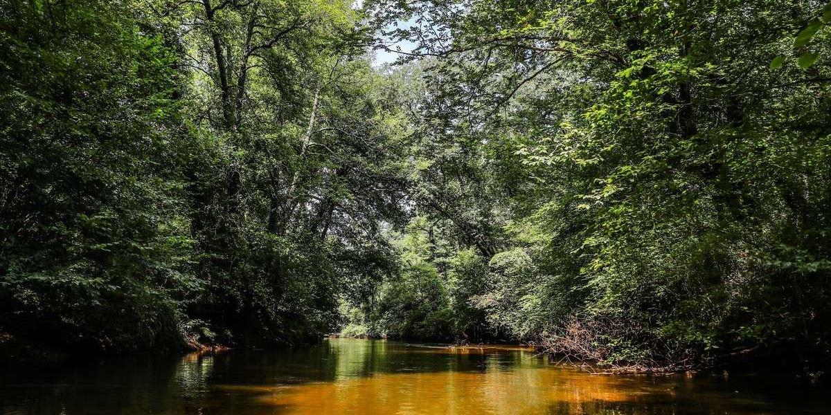 so-5b6c3d2c66a4bd9c196a4921-ph0