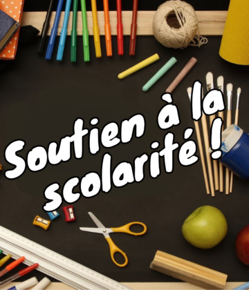 Newsletter articles - 1