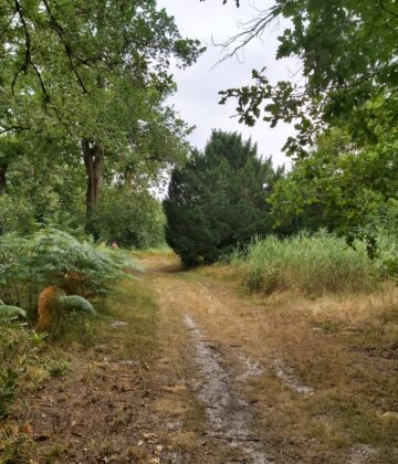 st symphorien 4