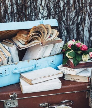 valises-avec-des-livres-fleurs-et-cages-a-oiseaux