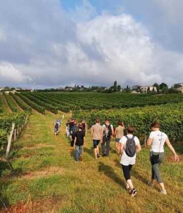 Circuit des cabanes de vignes_Pian-sur-Garonne