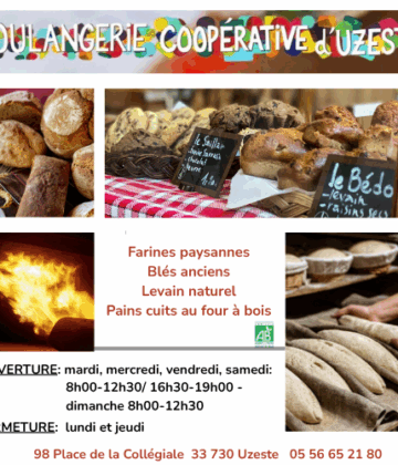 Votre texte de paragraphe - 5