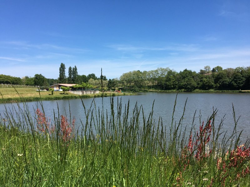 Destination Garonne, restaurant le Laromet, Laroque